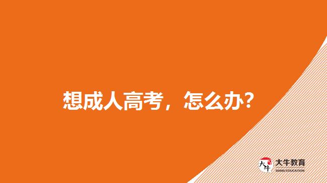 想成人高考，怎么辦？