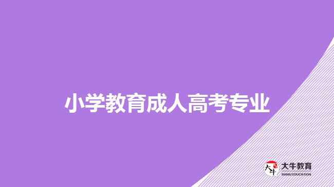 成人高考小學教育專業(yè)