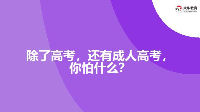 除了高考，還有成人高考，你怕什么？