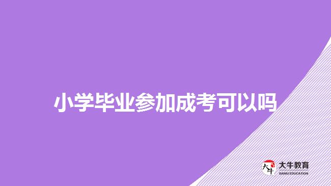 小學畢業(yè)參加成考可以嗎