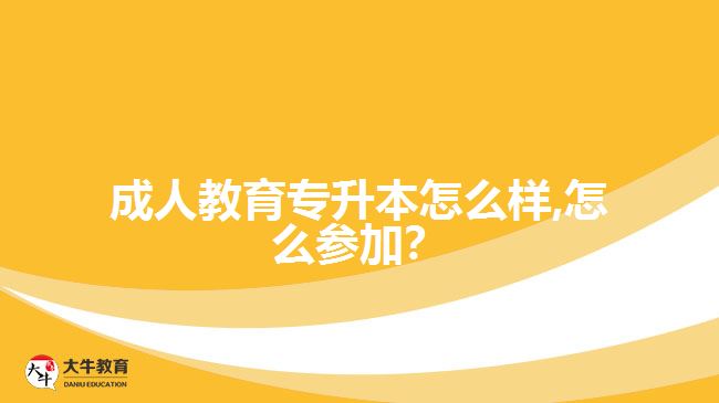 成人教育專升本怎么樣,怎么參加？