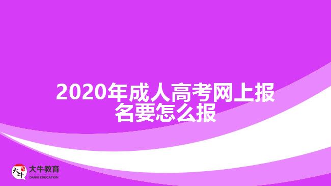 ，2020年成人高考網(wǎng)上報(bào)名要怎么報(bào)