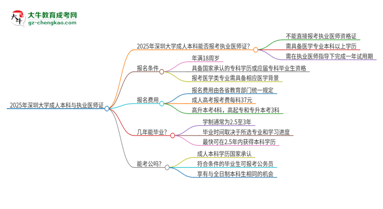 2025年深圳大學(xué)成人本科可否報(bào)考執(zhí)業(yè)醫(yī)師資格證？思維導(dǎo)圖