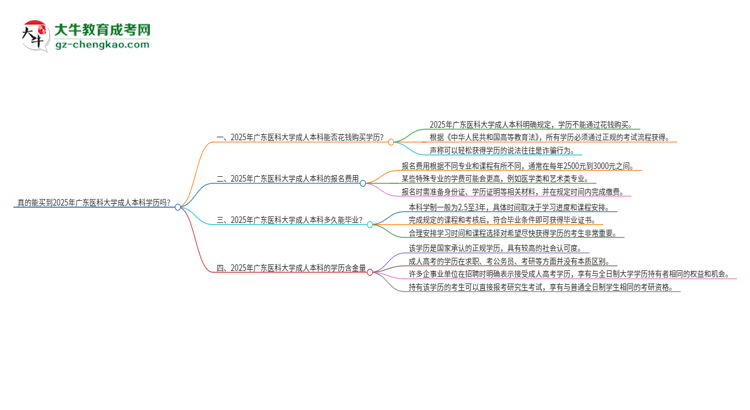真的能買到2025年廣東醫(yī)科大學(xué)成人本科學(xué)歷嗎?思維導(dǎo)圖