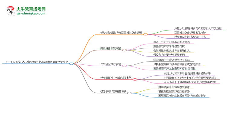 廣東成人高考小學教育專業(yè)2025年要考學位英語嗎？思維導圖