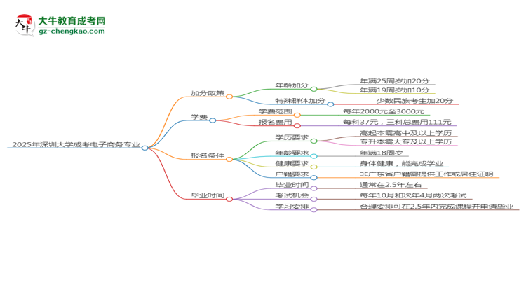 2025年深圳大學成考電子商務(wù)專業(yè)最新加分政策及條件思維導圖