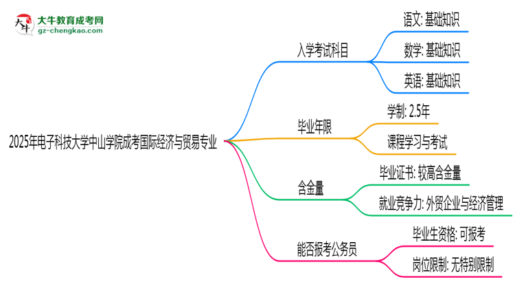 2025年電子科技大學(xué)中山學(xué)院成考國際經(jīng)濟(jì)與貿(mào)易專業(yè)入學(xué)考試科目有哪些？思維導(dǎo)圖