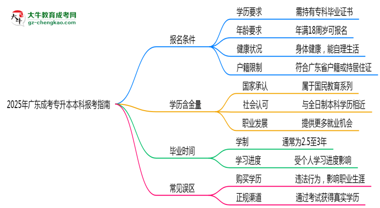 2025年廣東成考專升本本科報(bào)考指南：學(xué)歷/年齡要求必看思維導(dǎo)圖