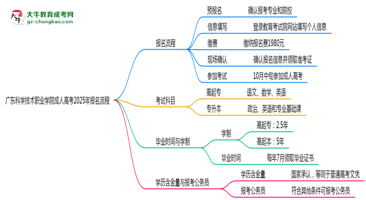 廣東科學技術(shù)職業(yè)學院成人高考2025年報名流程思維導圖