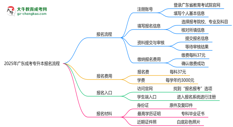 2025年廣東成考專升本報名流程:從注冊到繳費全指南思維導(dǎo)圖