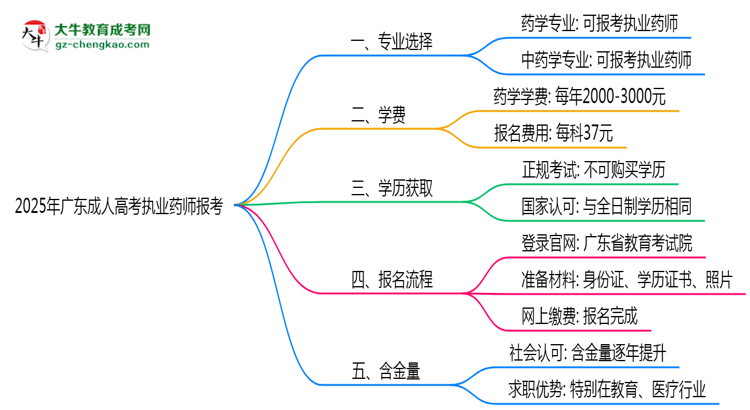2025年廣東成人高考執(zhí)業(yè)藥師報考專業(yè)思維導圖