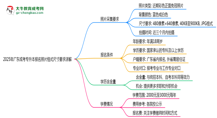 2025年廣東成考專升本報(bào)名照片格式尺寸要求詳解思維導(dǎo)圖