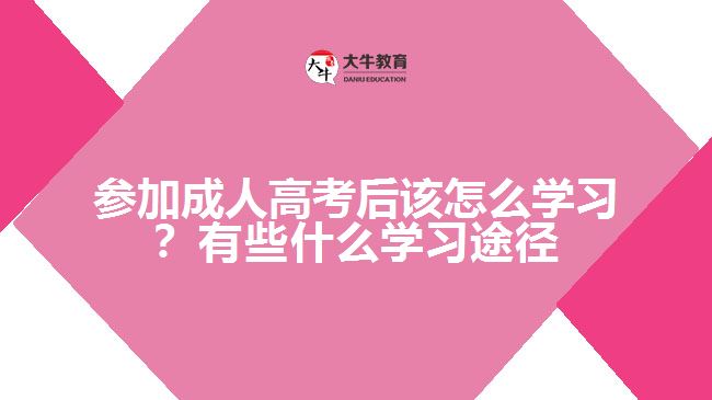 參加成人高考后該怎么學習？有些什么學習途徑