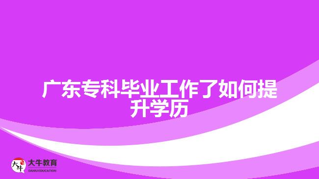 廣東?？飘厴I(yè)工作了如何提升學(xué)歷