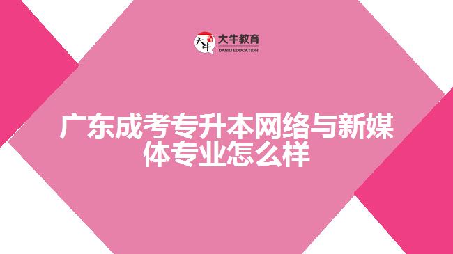 廣東成考專升本網(wǎng)絡與新媒體專業(yè)怎么樣