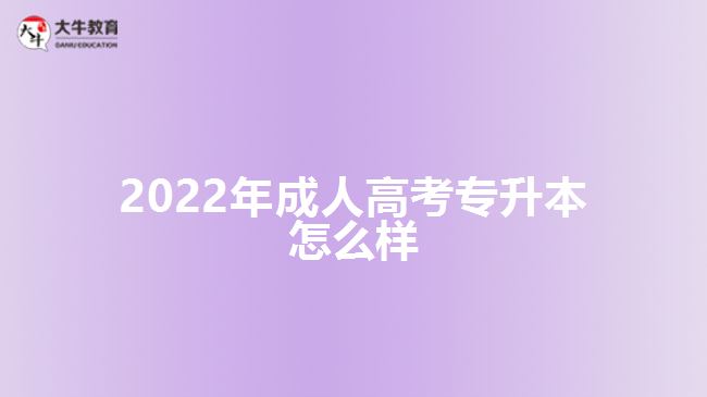 2022年成人高考專(zhuān)升本怎么樣