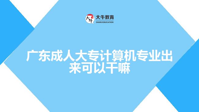 廣東成人大專計(jì)算機(jī)專業(yè)出來可以干嘛