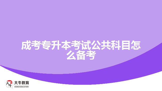 成考專(zhuān)升本考試公共科目怎么備考