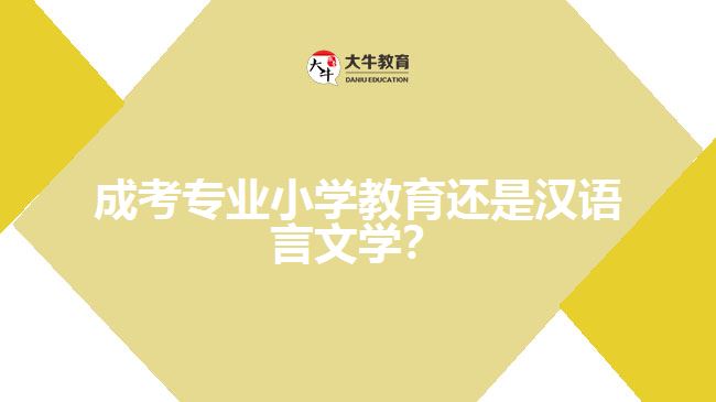 成考小學(xué)教育還是漢語(yǔ)言文學(xué)？