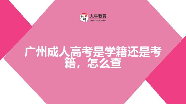 廣州成人高考是學(xué)籍還是考籍，怎么查