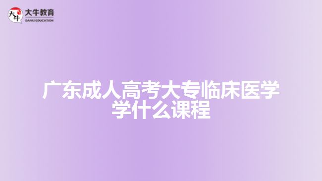 廣東成人高考大專(zhuān)臨床醫(yī)學(xué)學(xué)什么課程