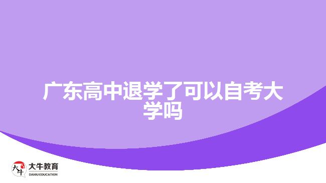 廣東高中退學了可以自考大學嗎