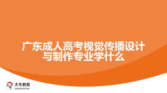 廣東成人高考視覺(jué)傳播設(shè)計(jì)與制作專業(yè)學(xué)什么