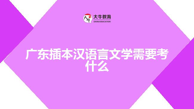廣東插本漢語言文學需要考什么