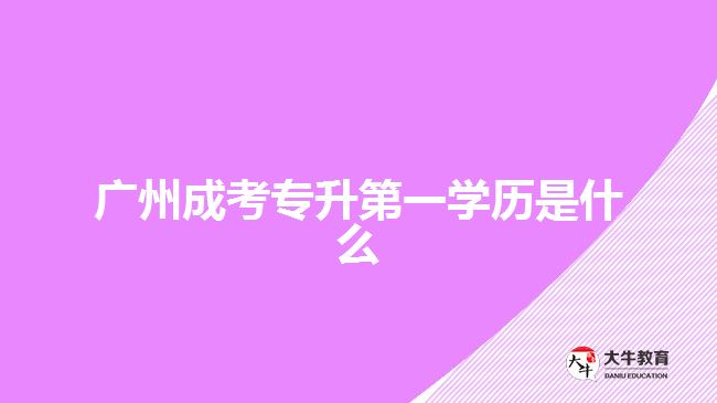 廣州成考專(zhuān)升第一學(xué)歷是什么