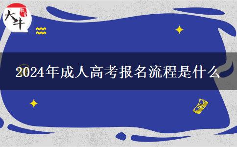 2024年成人高考報(bào)名流程是什么 2024年成人高考報(bào)名流程是什么