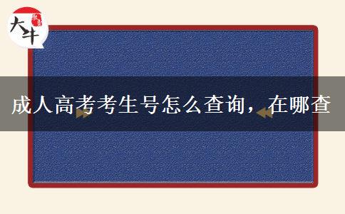 成人高考考生號(hào)怎么查詢，在哪查