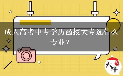 成人高考中專學(xué)歷函授大專選什么專業(yè)？
