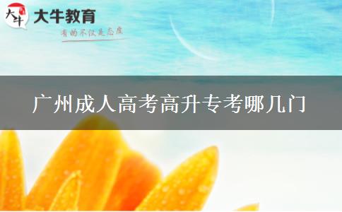 廣州成人高考高升?？寄膸组T