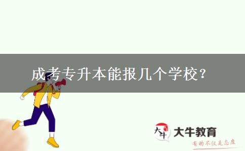 成考專升本能報(bào)幾個(gè)學(xué)校?