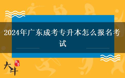 2024年廣東成考專升本怎么報(bào)名考試 2024年廣東成考專升本怎么報(bào)名考試