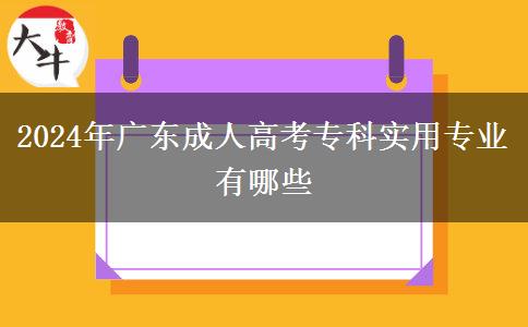 2024年廣東成人高考專科實用專業(yè)有哪些