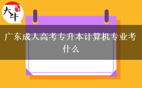廣東成人高考專升本計(jì)算機(jī)專業(yè)考什么 廣東成人高考專升本計(jì)算機(jī)專業(yè)考什么