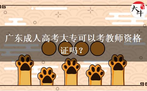 廣東成人高考大專可以考教師資格證嗎？
