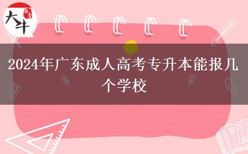 2024年廣東成人高考專升本能報(bào)幾個(gè)學(xué)校 2024年廣東成人高考專升本能報(bào)幾個(gè)學(xué)校