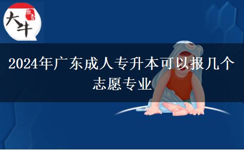 2024年廣東成人專升本可以報(bào)幾個(gè)志愿專業(yè) 2024年廣東成人專升本可以報(bào)幾個(gè)志愿專業(yè)