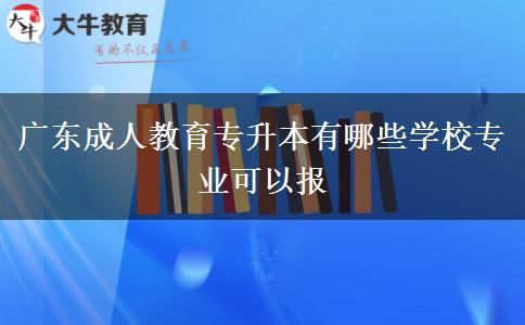 廣東成人教育專升本有哪些學(xué)校專業(yè)可以報 廣東成人教育專升本有哪些學(xué)校專業(yè)可以報
