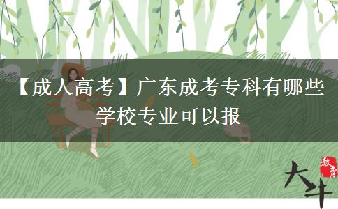 【成人高考】廣東成考?？朴心男W(xué)校專業(yè)可以報(bào)