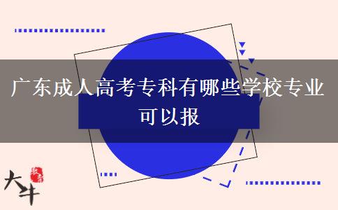 廣東成人高考?？朴心男W(xué)校專業(yè)可以報