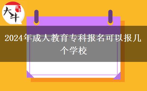 2024年成人教育??茍?bào)名可以報(bào)幾個(gè)學(xué)校 2024年成人教育專科報(bào)名可以報(bào)幾個(gè)學(xué)校
