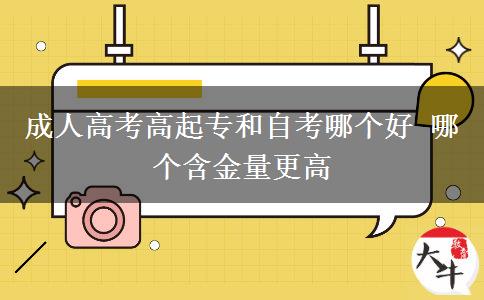 成人高考高起專和自考哪個好。</div>
                    <div   class=