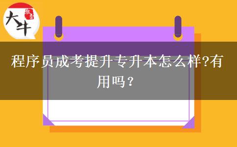 程序員成考提升專升本怎么樣?有用嗎？