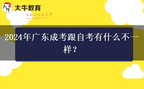 2024年廣東成考跟自考有什么不一樣？