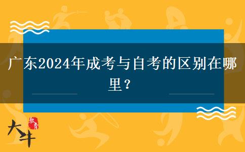 廣東2024年成考與自考的區(qū)別在哪里？
