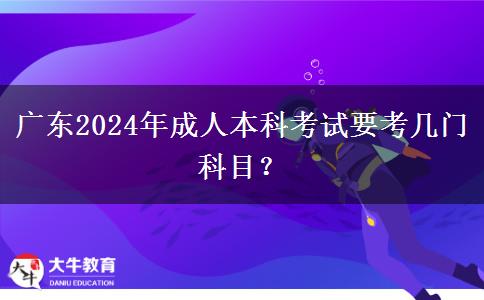 廣東2024年成人本科考試要考幾門科目？