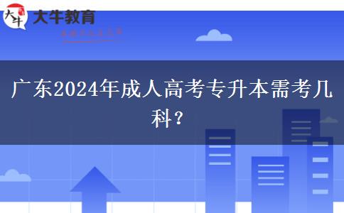廣東2024年成人高考專(zhuān)升本需考幾科？